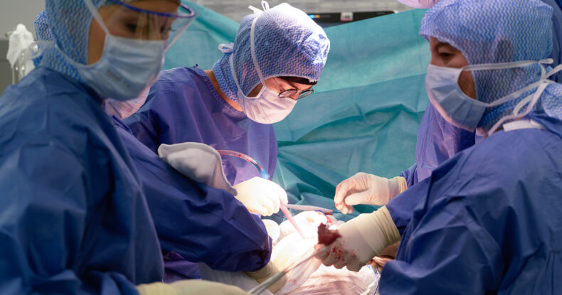 Image principale de la page Chirurgie orthopédique et traumatologique