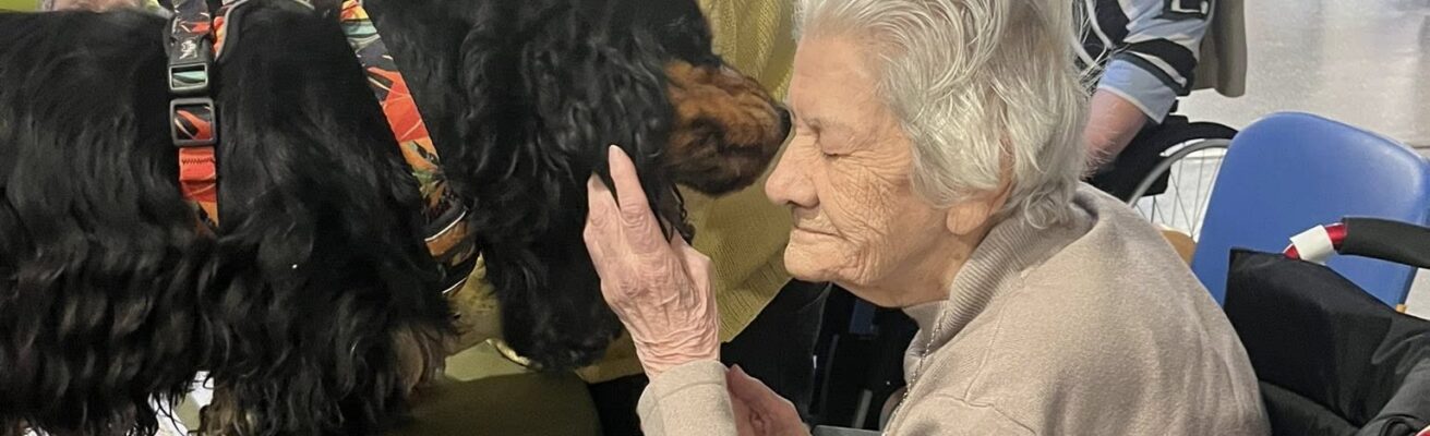 La médiation animale au cœur du bien-être, au Centre Hospitalier de Lens !