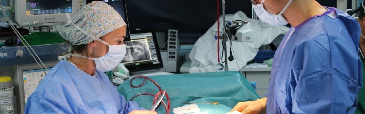 Journée Mondiale de la santé bucco-dentaire !