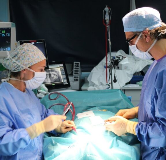 Journée Mondiale de la santé bucco-dentaire !